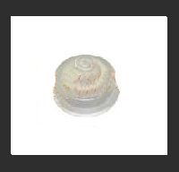Flushing Nozzle