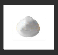 Flushing Nozzle